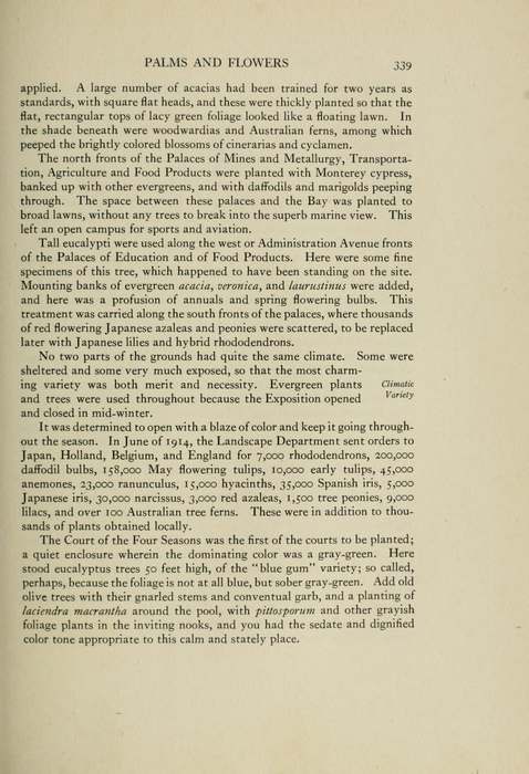 Eingescannte Seite aus einer Ausstellungsgeschichte von 1921, aus dem Kapitel Palms and Flowers.