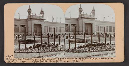 Stereografie einer mit Flaggen geschmückten Ausstellungshalle hinter einem Beet mit Kakteen und Agaven auf nacktem Boden.