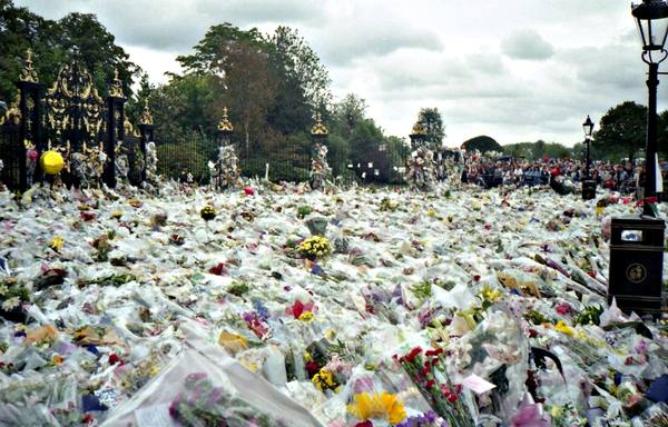 A vast carpet of wrapped bouquets and notes covering the ground in front of the gilded black gates of Kensington Palace, with trees behind, a litter bin at the right and a distant crowd of mourners at the far right.