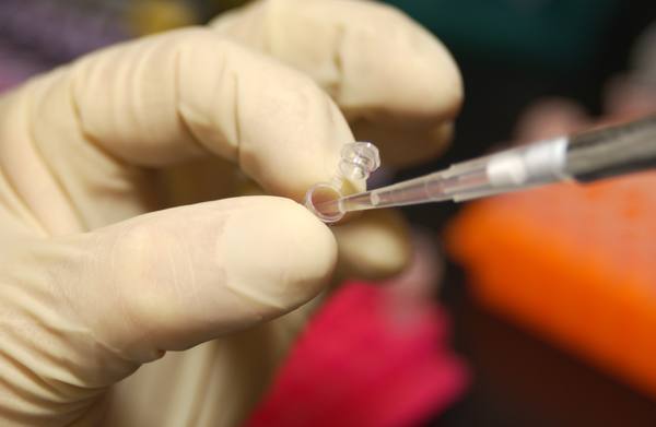 Close-up of a gloved hand holding a small clear plastic micro test tube while a pipette tip reaches into it.