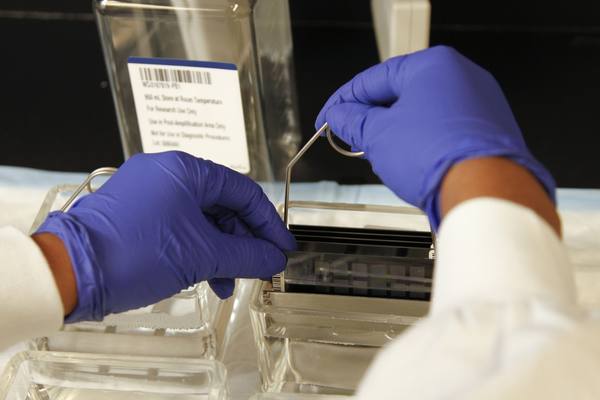 Two hands in blue laboratory gloves handling a metal slide rack with glass slides in a glass dish, with a labelled bottle behind.