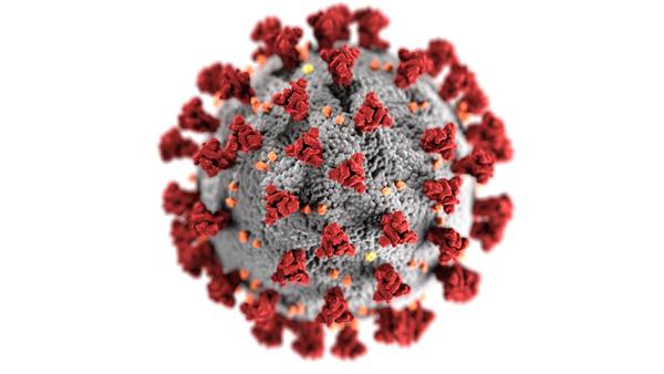 This illustration, created at the U.S. Centers for Disease Control and Prevention, shows the spiked structure of a coronavirus; the novel coronavirus SARS-CoV-2 causes the illness named coronavirus disease 2019 (COVID-19).