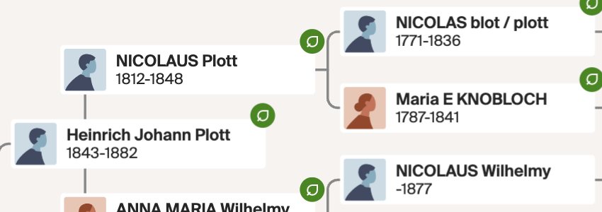 A close-up of the pedigree where the Plott line reaches Nicolas Blot or Plott, 1771 to 1836, and Maria E. Knobloch, 1787 to 1841